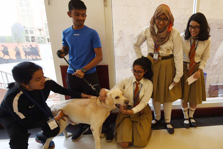 Praying, petting, painting Indian students in UAE beat exam stress